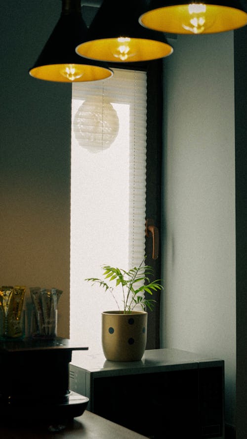 Darmowe zdjęcie z galerii z doniczka, lampy, okna