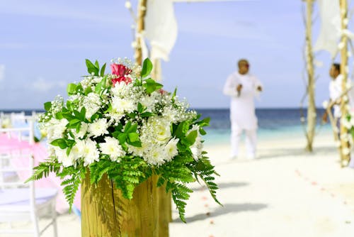 免费 白菊花的选择性聚焦摄影在海滨的白色thobe的人附近开花花束 素材图片