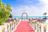 这个风景秀丽的热带海滩婚礼设有红毯过道和海景，是完美的目的地婚礼