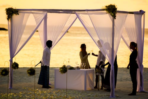 Безкоштовне стокове фото на тему «весілля, весілля на пляжі, винний бокал»