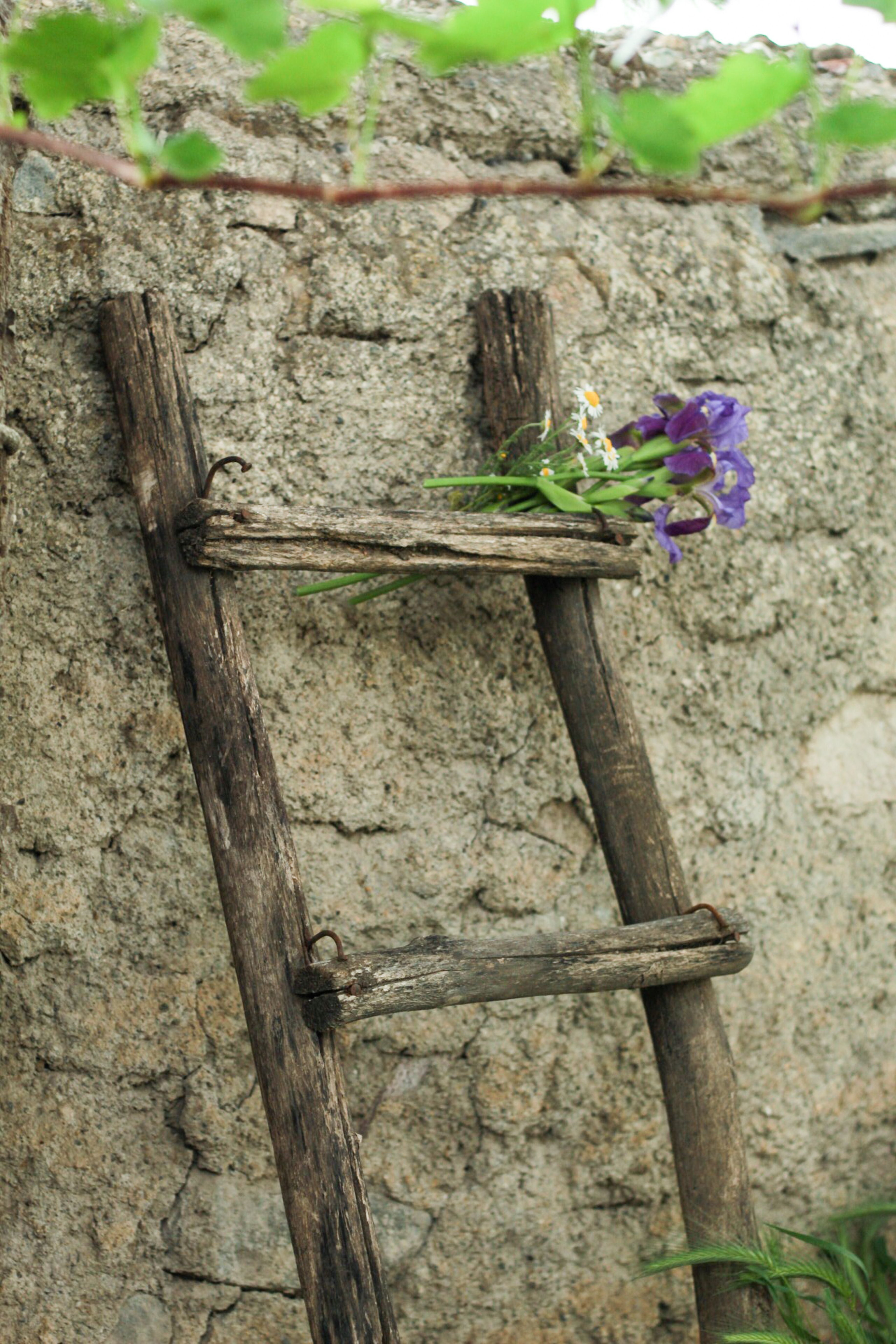 Flowers on a Ladder · Free Stock Photo