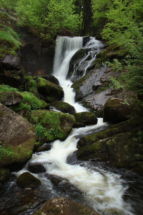 View of a Waterfall in a Forest 