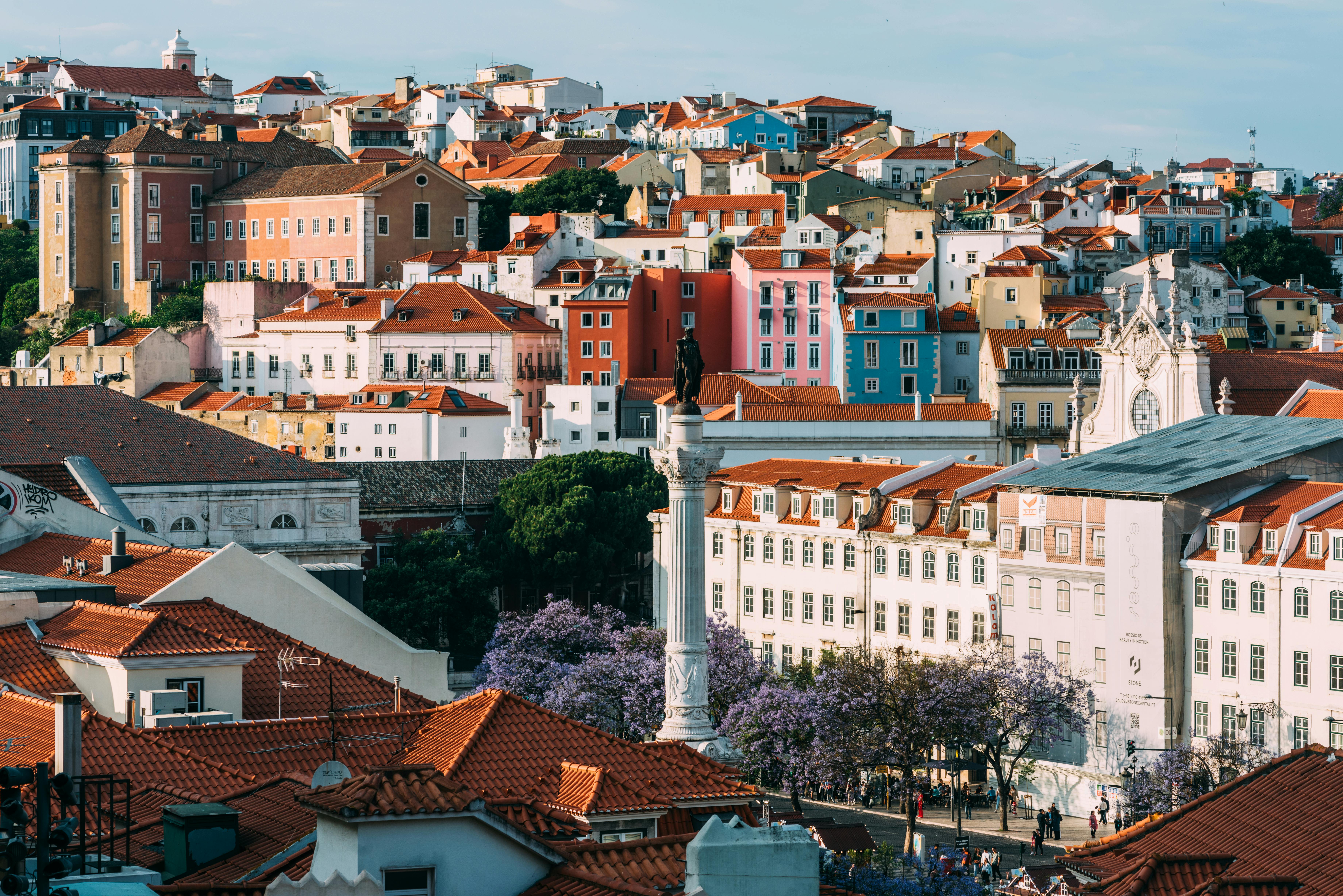 Free High perspective view of Rossio Square in Baixa district of Lisbon city, Portugal covered with violet Jacaranda leaves during the springtime Stock Photo