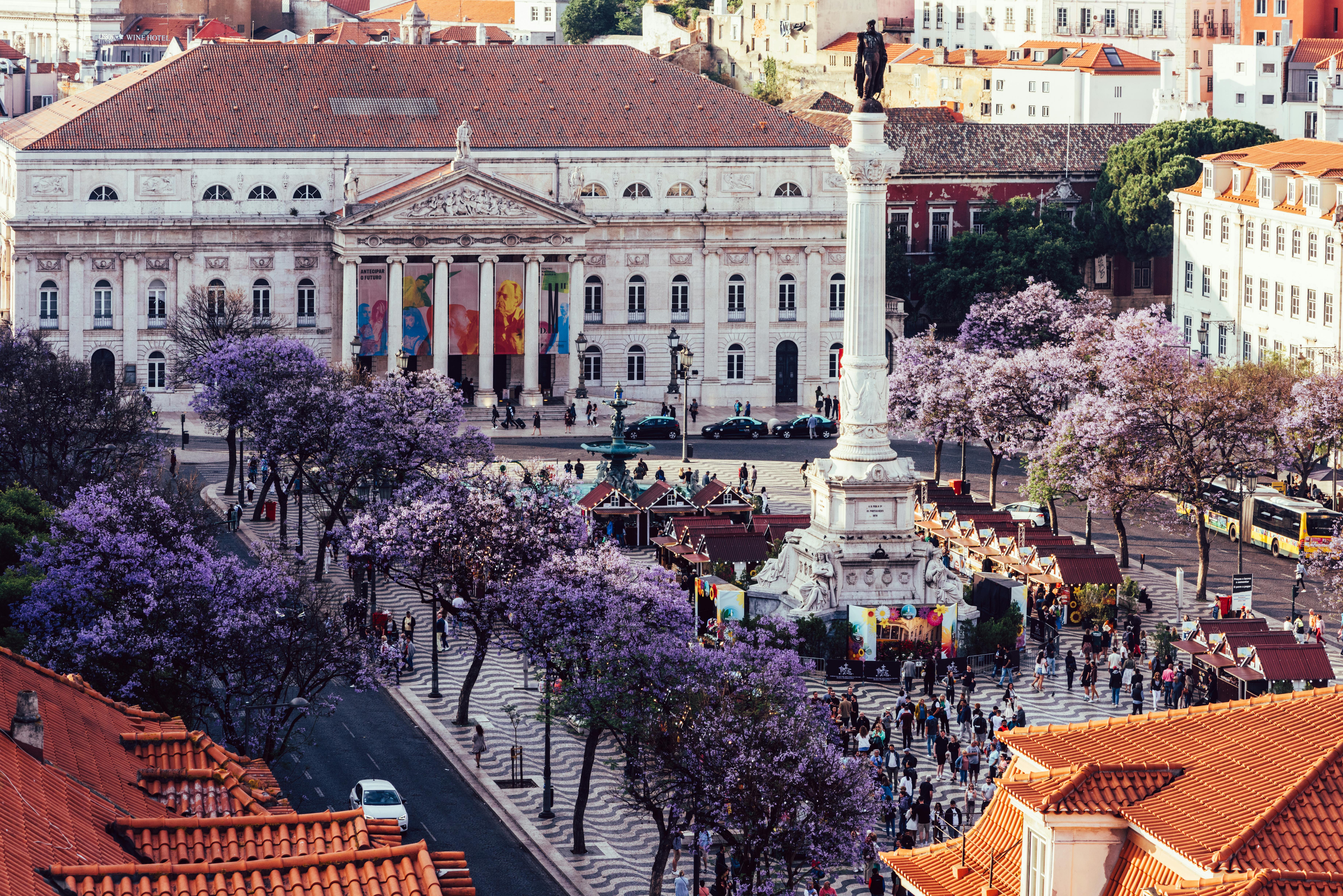 Free High perspective view of Rossio Square in Baixa district of Lisbon city, Portugal covered with violet Jacaranda leaves during the springtime Stock Photo