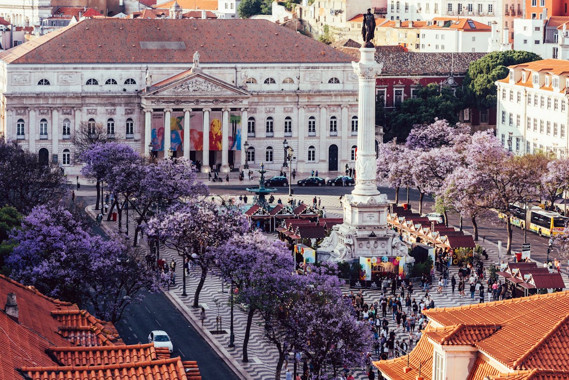 Free High perspective view of Rossio Square in Baixa district of Lisbon city, Portugal covered with violet Jacaranda leaves during the springtime Stock Photo