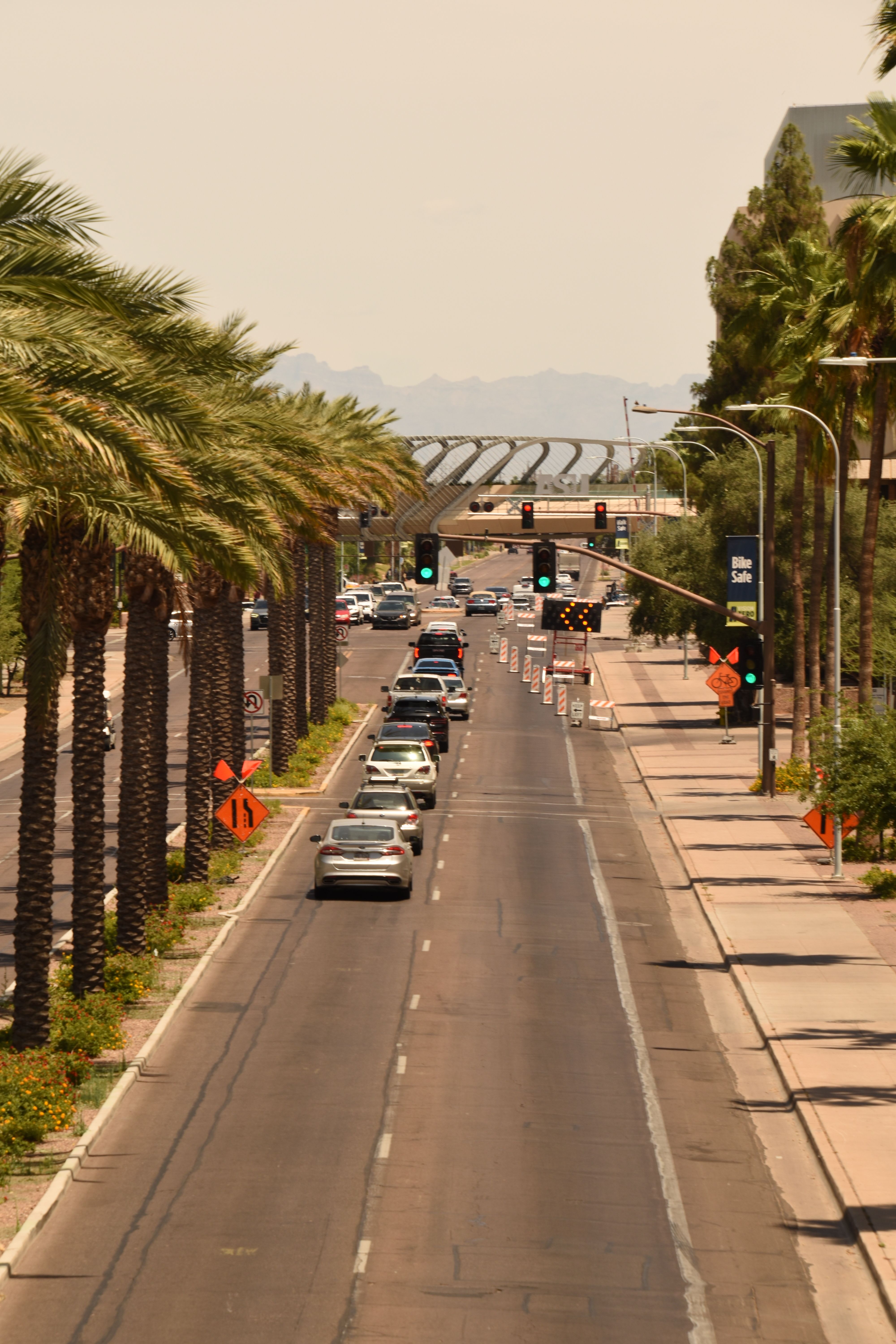 High angle view of a sunny urban street lined with palm trees and cars in traffic.