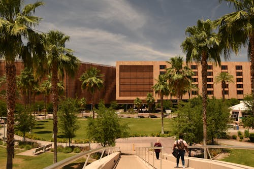 Palm Trees on Square in Arizona State University