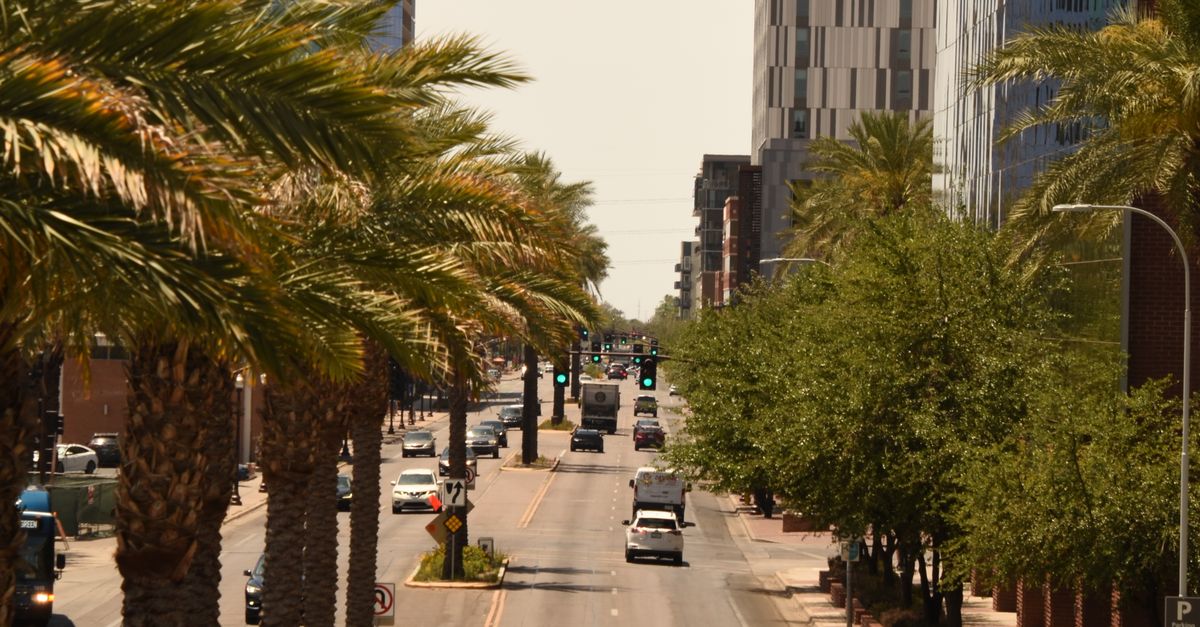 Photo by Elizabeth Olson A bustling city street lined with palm trees and modern buildings under clear skies.