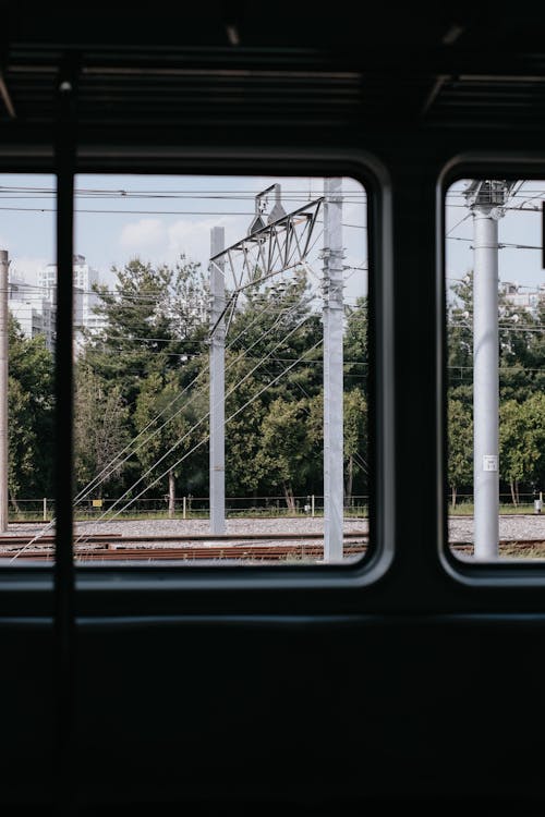 Бесплатное стоковое фото с вертикальный выстрел, городской, деревья