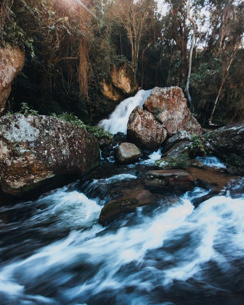 Flowing Water in Stream in Forest