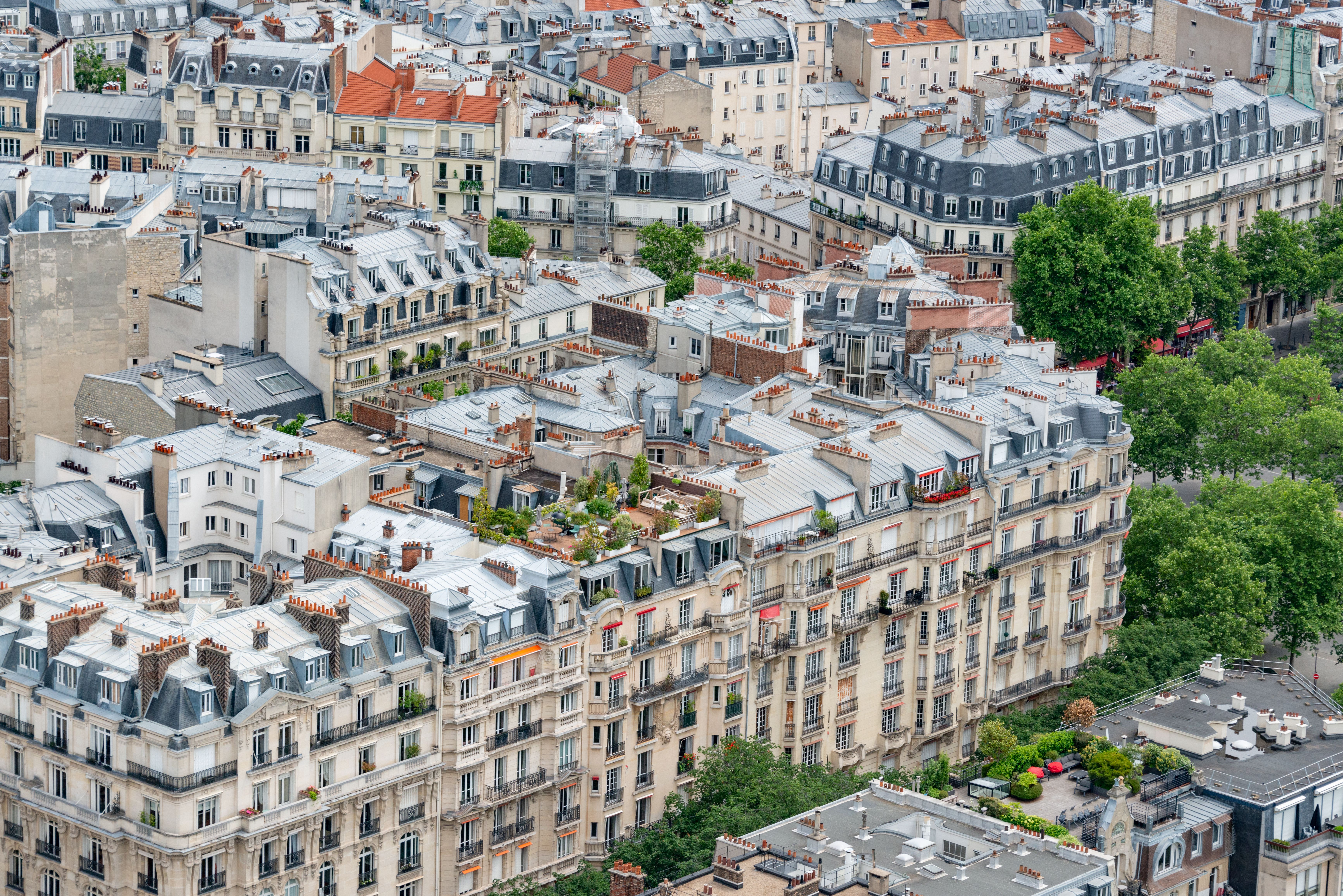 Top 5 Reasons Why Urban Buyers Are Switching to Ather Electric Scooters — Photo by Diego F. Parra on Pexels