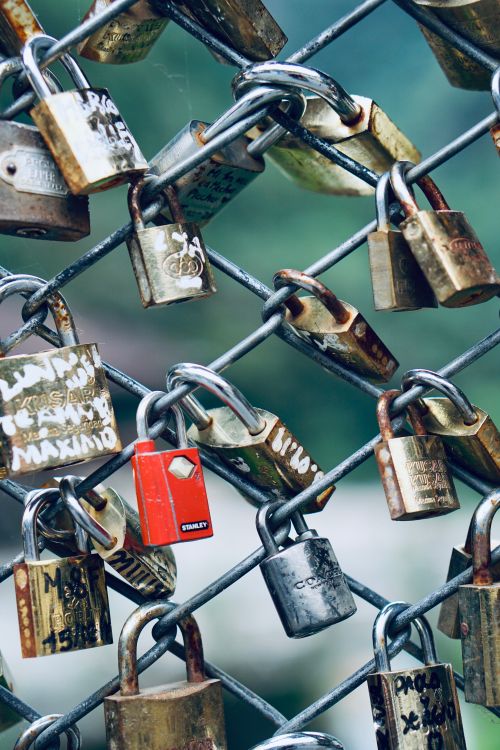 Free A romantic close-up of padlocks symbolizing love on a metal bridge fence. Stock Photo