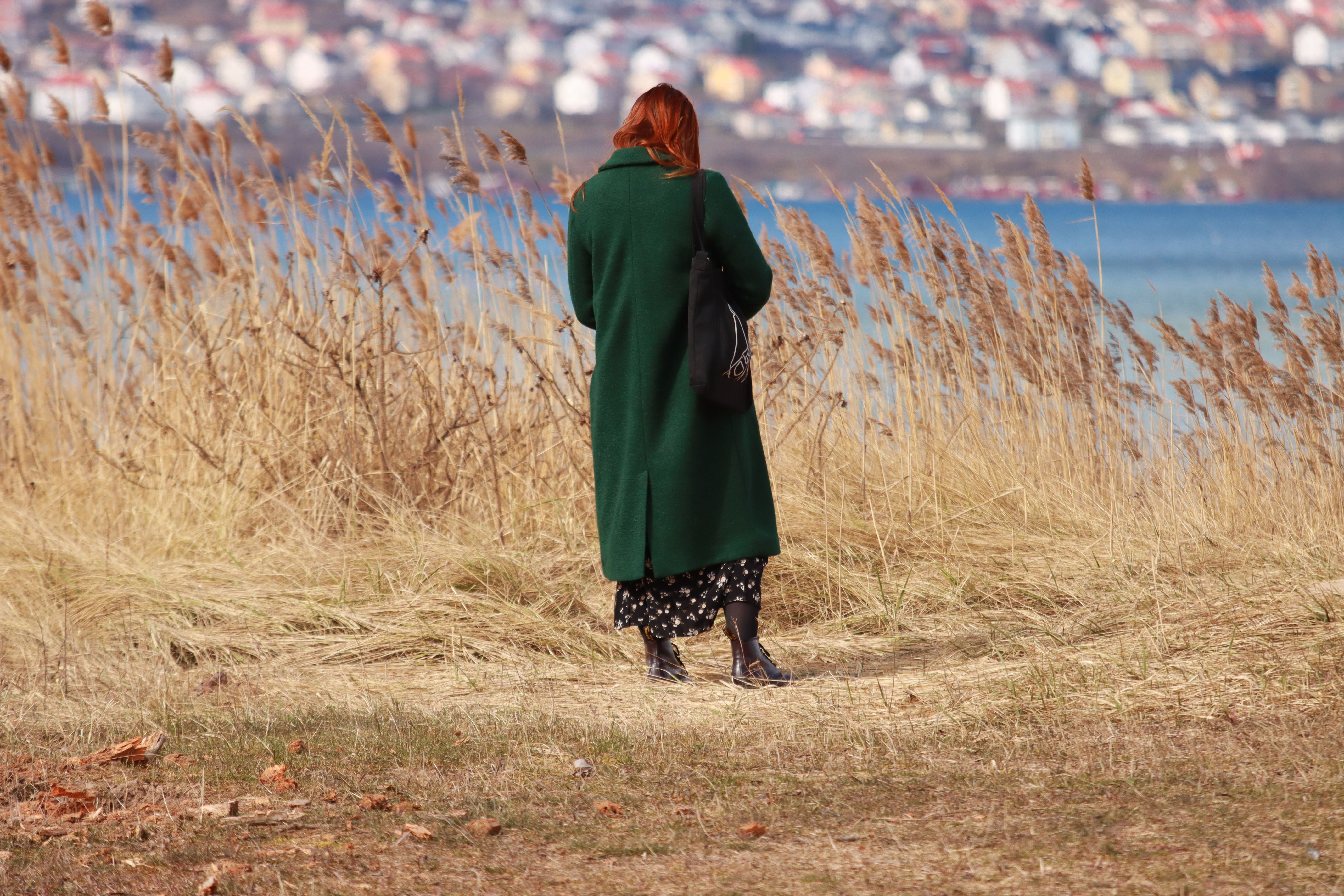 Back View of Woman in Green Coat · Free Stock Photo