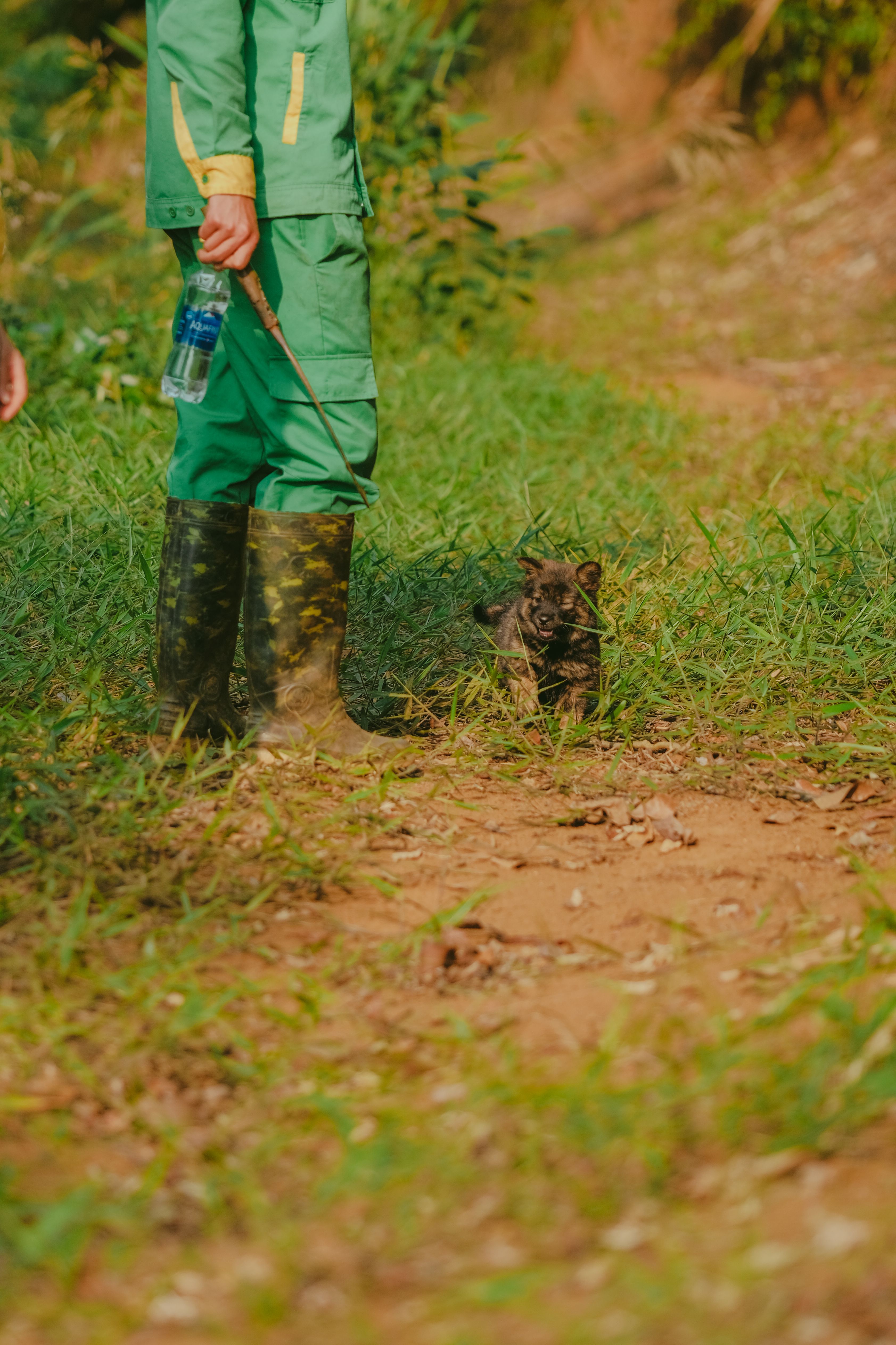 Man Walking the Dog in a Forest · Free Stock Photo