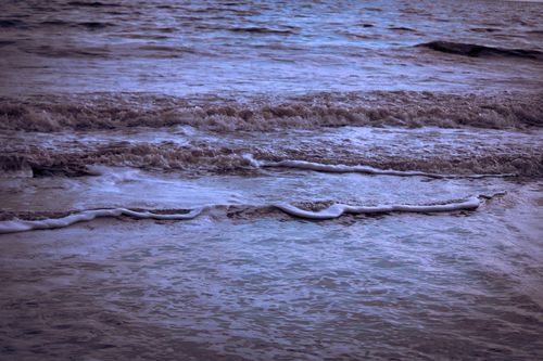 Free stock photo of nature, shore Stock Photo
