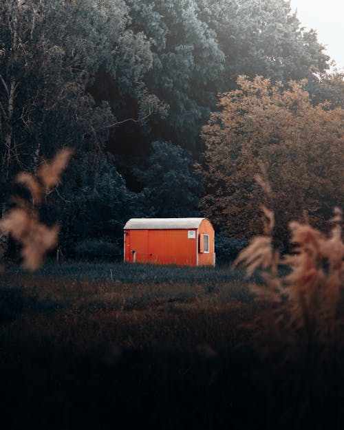 View of a Small Hut by the Forest in the Countryside 