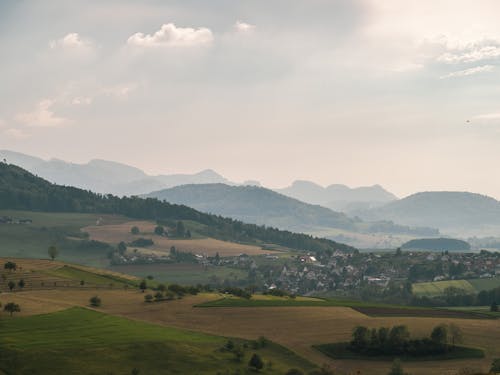 Fotobanka s bezplatnými fotkami na tému dedinský, hmla, hracie polia