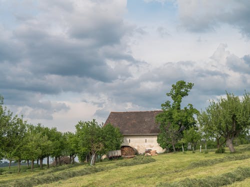 Hut on a Field