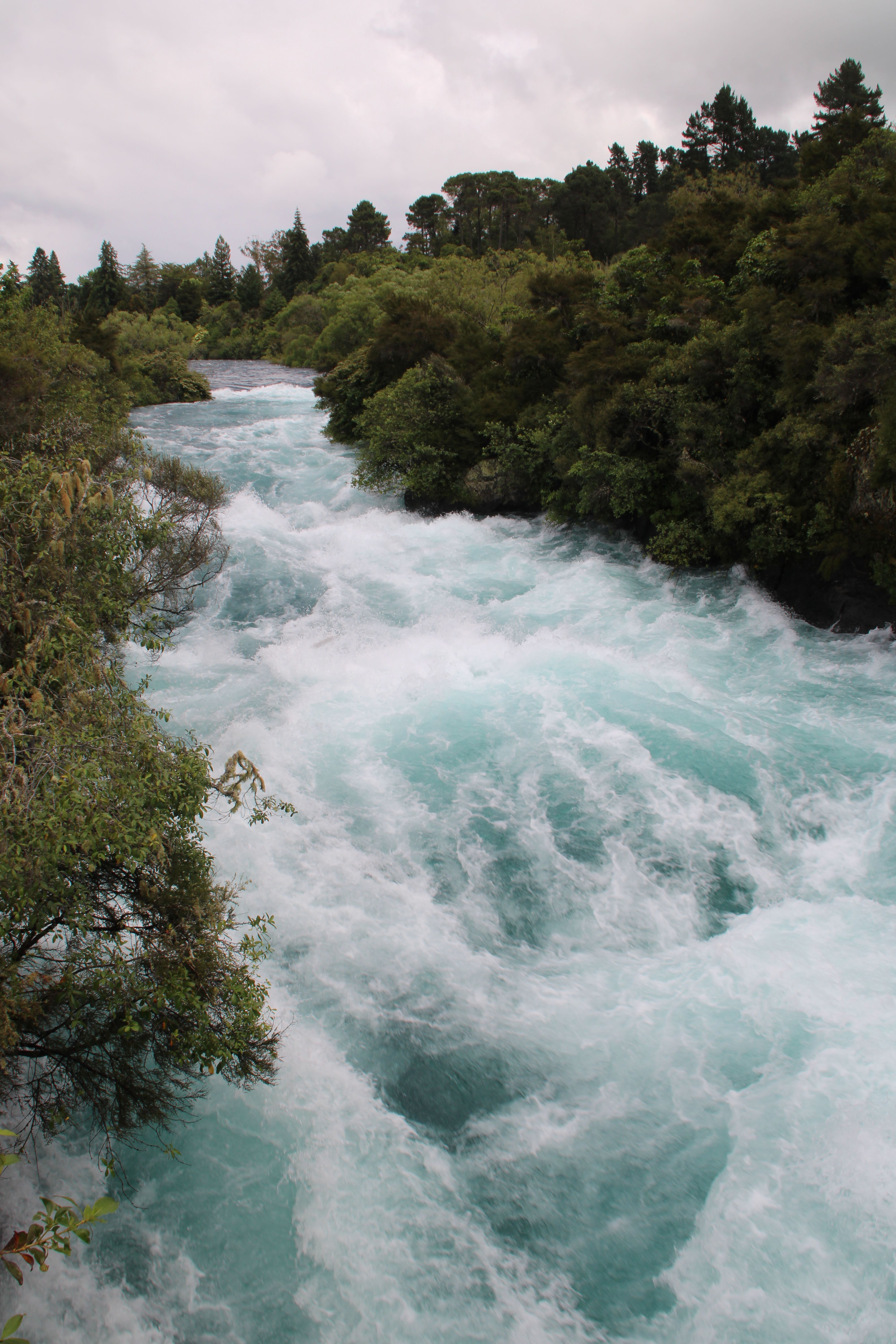 Strong Current in Stream · Free Stock Photo