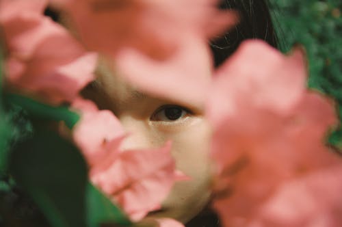 Fotografía En Primer Plano Del Rostro De La Mujer Cubierto Con Flores De Buganvilla Rosa