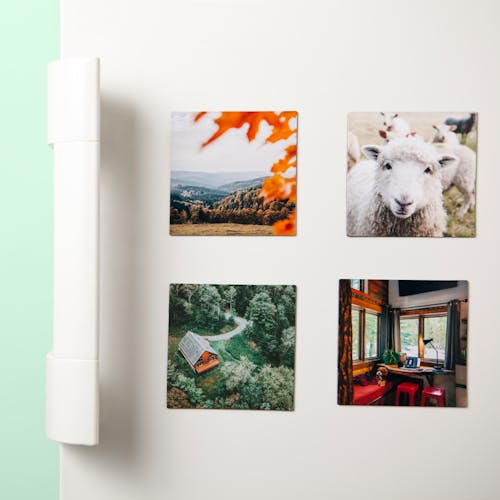 photo magnets on a fridge