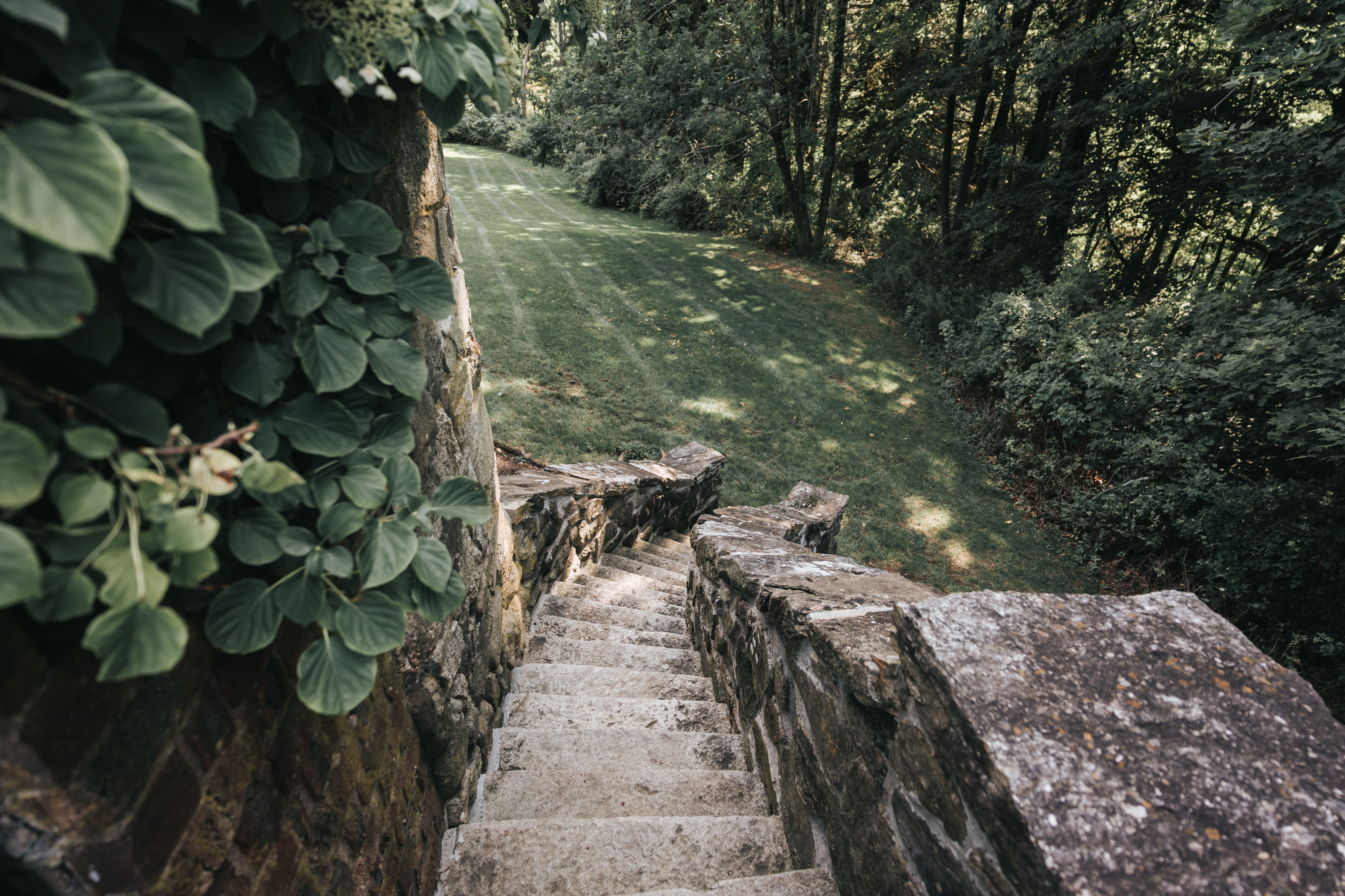 Pittsburgh Springhouse Discovery