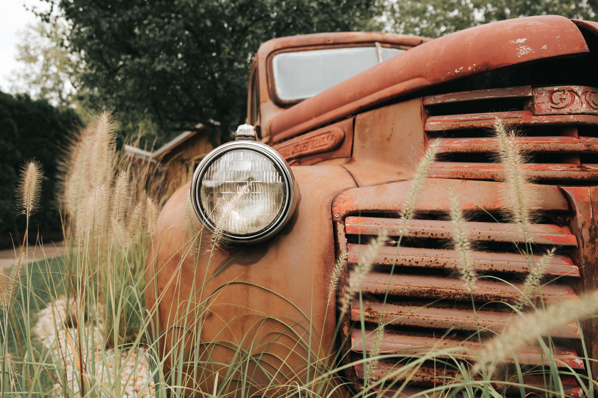 Close-up of a rusty vintage truck surrounded by overgrown grass outdoors.