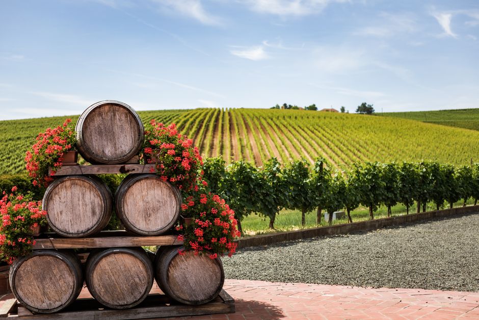 Nouveautés — Domaine viticole à Cotignac