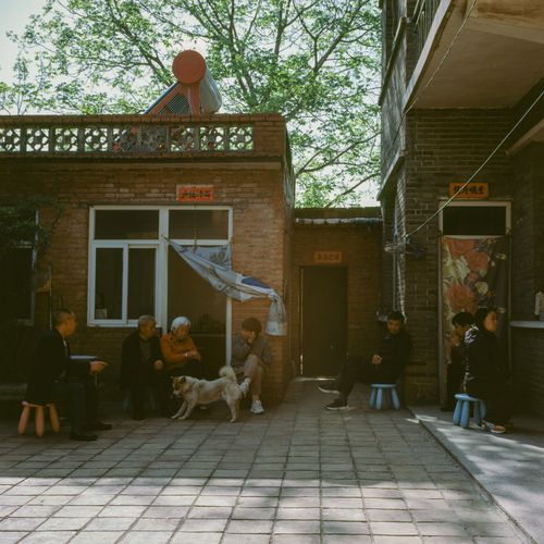 Free Group of people sitting outside a courtyard with a dog on a sunny day. Stock Photo