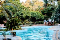 绿树成荫的宁静池畔，非常适合放松和休闲