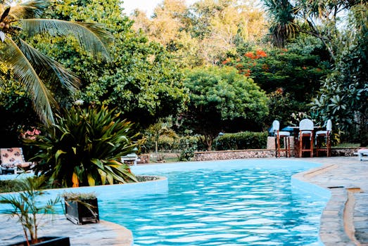 A serene poolside oasis surrounded by lush greenery, perfect for relaxation and leisure.