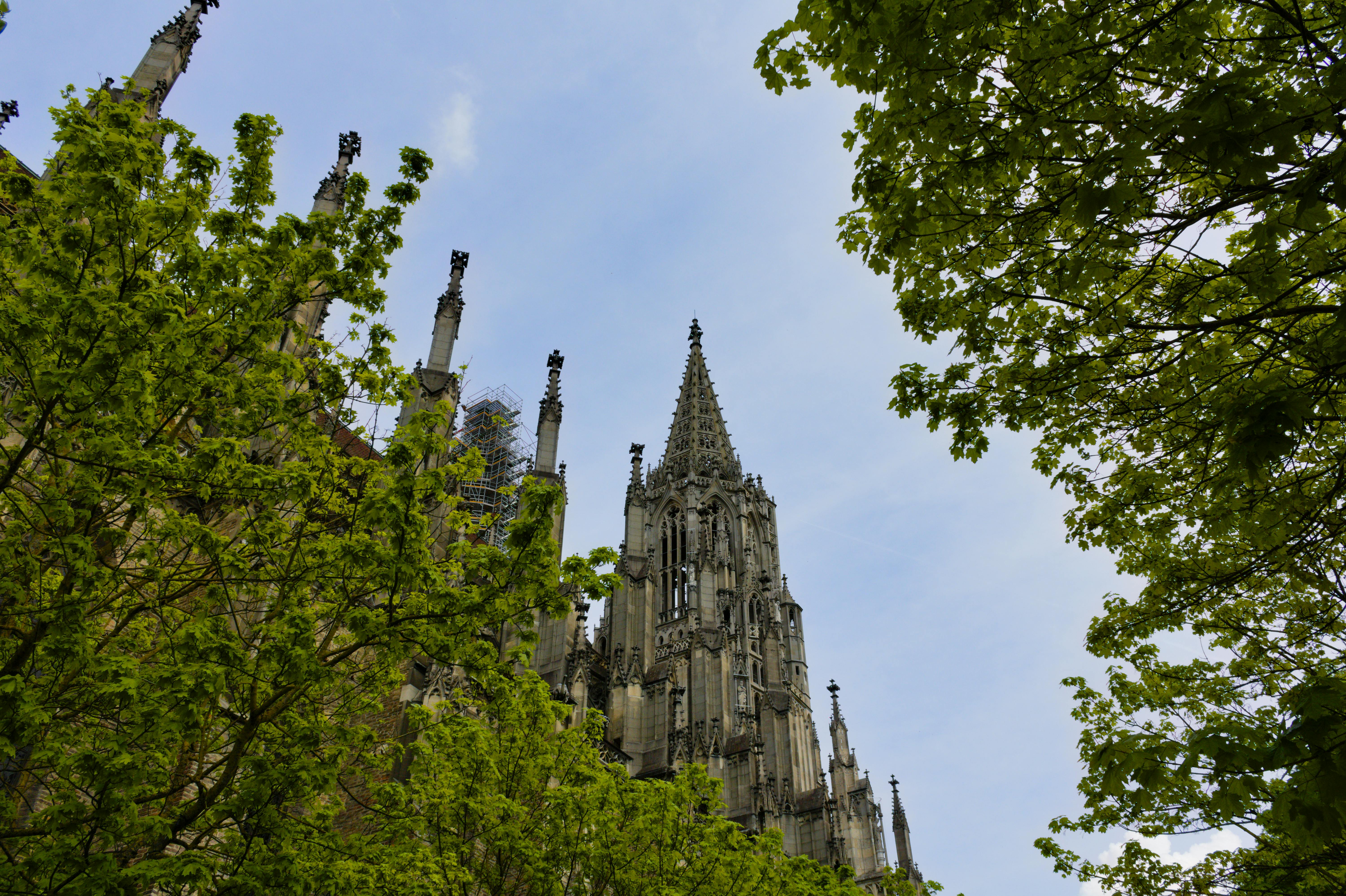 Ulm