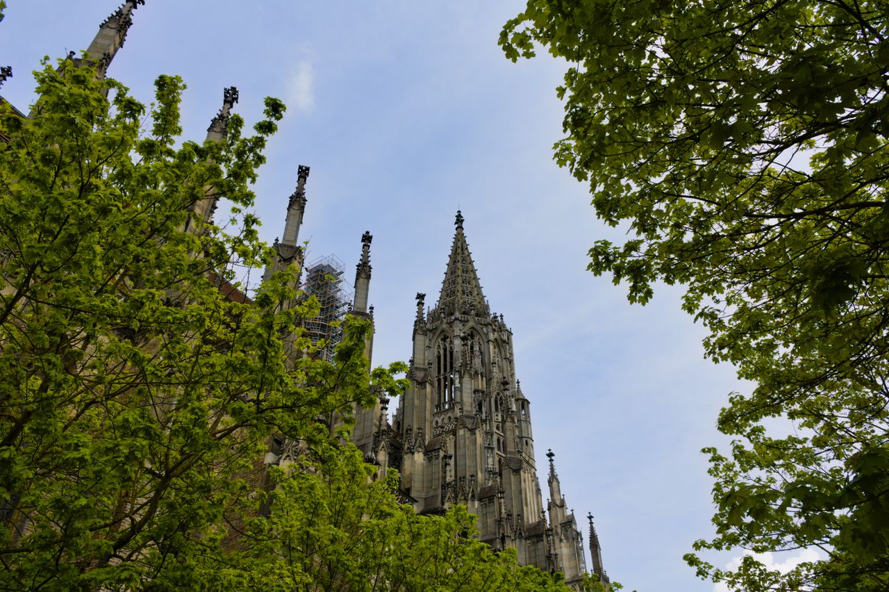 Das Ulmer Münster zwischen den Bäumen