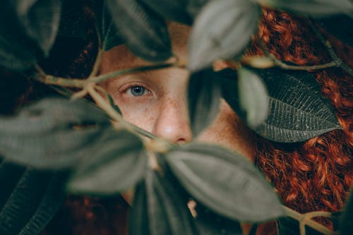 Free Close-Up Photo of Person Behind Leaves Stock Photo
