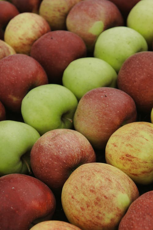 Foto stok gratis apel, barisan, buah-buahan