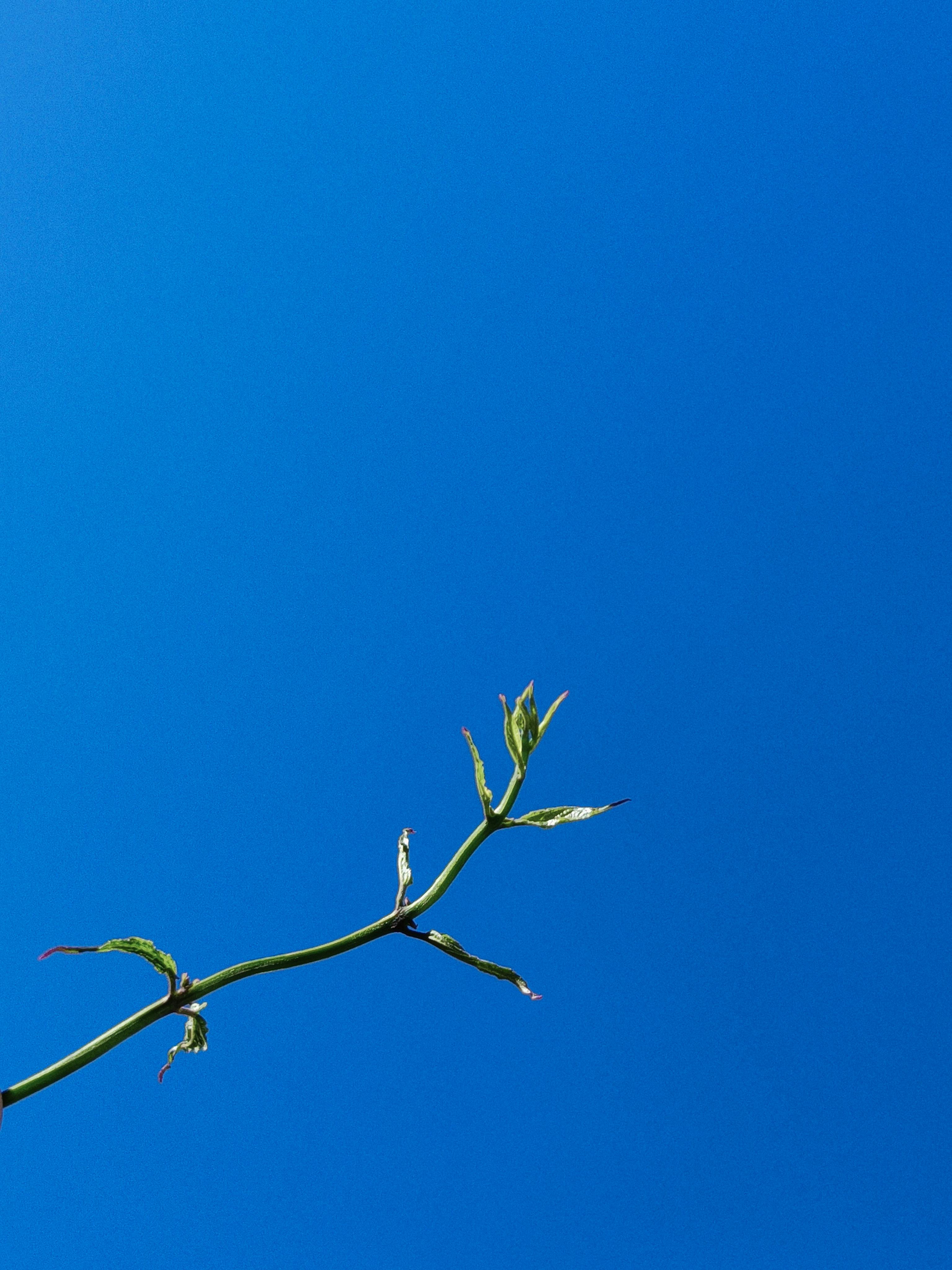 Andre Moura - 사진