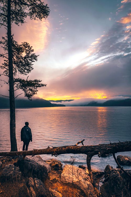 A person standing on a log looking at the sunset