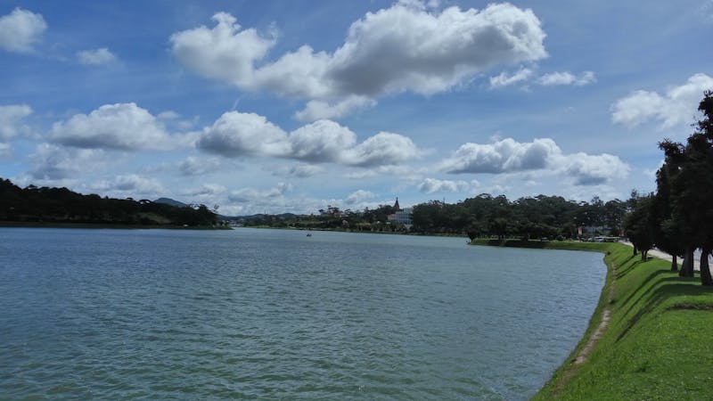 Golden Retriever wearing genuine leather engraved anti-loss dog collar during a park walk