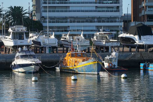 Motorboats moored in Punta del Este marina, showcasing an urban waterfront scene.