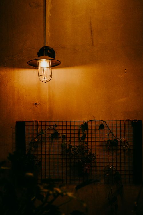 Free Moody scene of a wall lamp illuminating ivy against a textured wall at night. Stock Photo