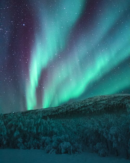 Ücretsiz Aurora Işıkları Stok Fotoğraflar