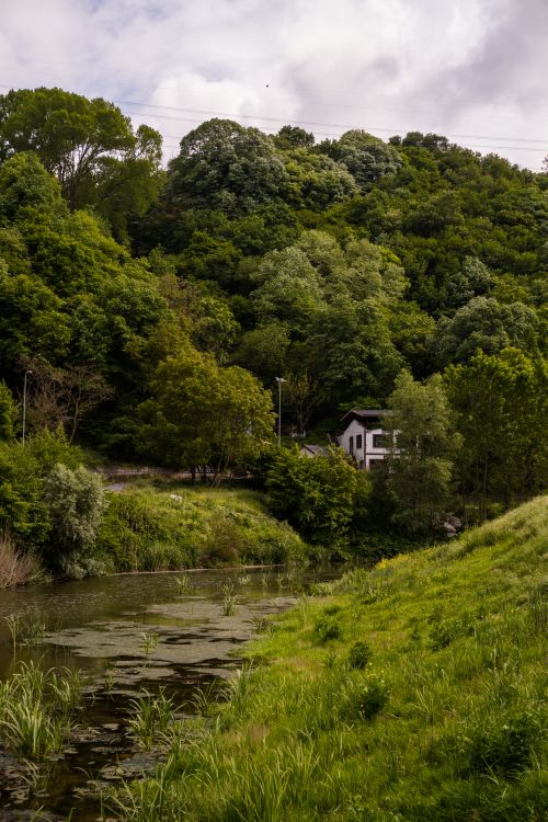 Free A picturesque view of a forested hillside with a rustic house by a serene river. Stock Photo