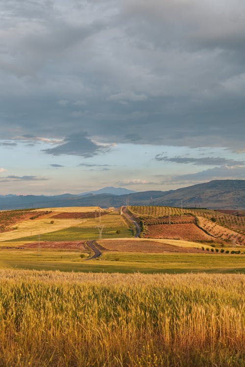 Ingyenes stockfotó farm, függőleges lövés, hegyek témában