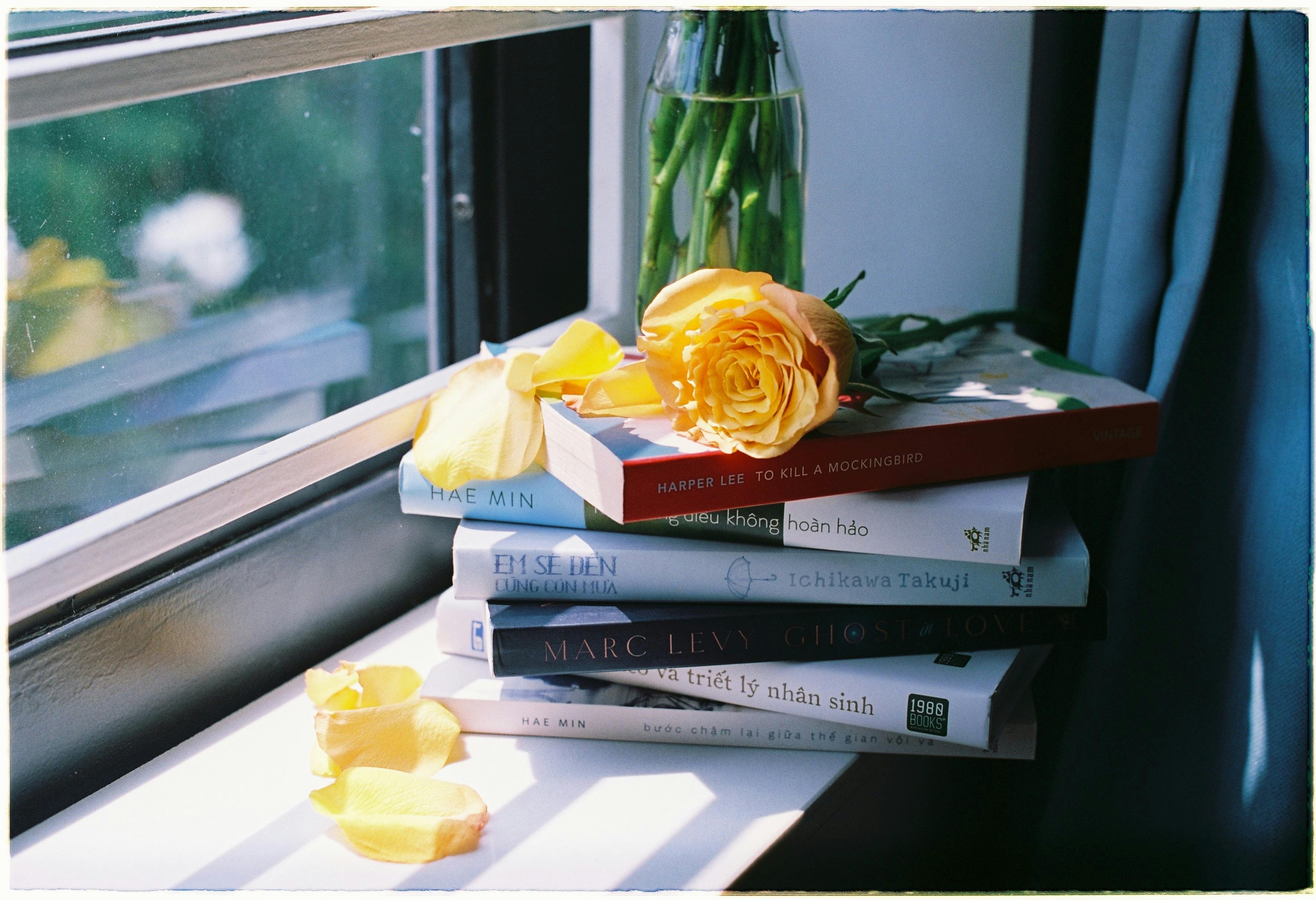 Stack of books with a yellow rose on a sunlit windowsill, creating a peaceful reading nook.