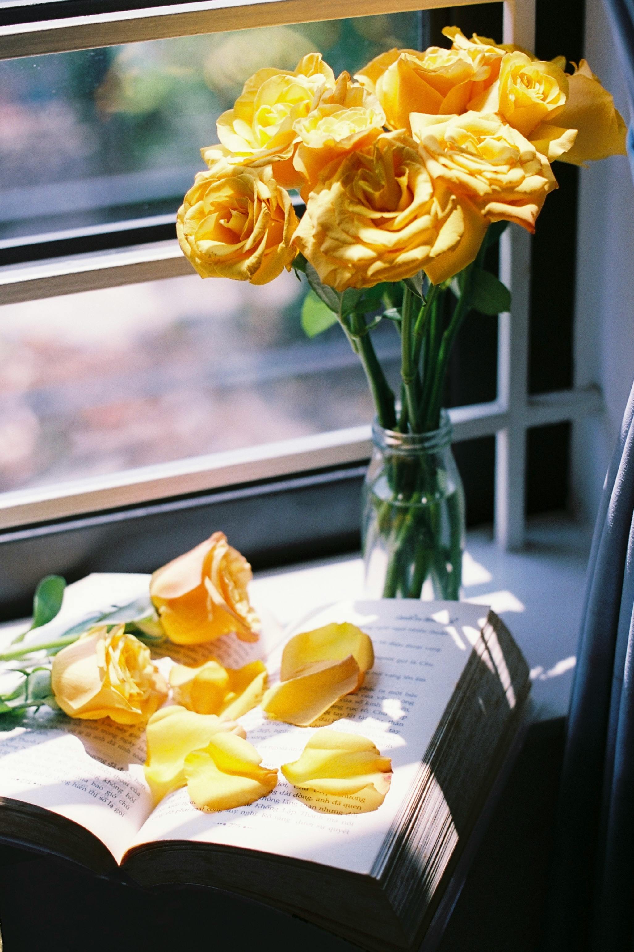 A bouquet of yellow roses gently resting on an open book by a sunlit windowsill, capturing a serene still life scene.