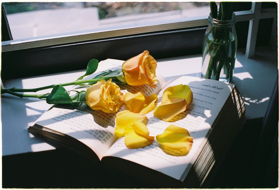 Yellow roses and petals on a poetry book on a sunlit windowsill, evoking tranquility.