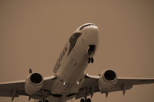Free King of the air  Stock Photo