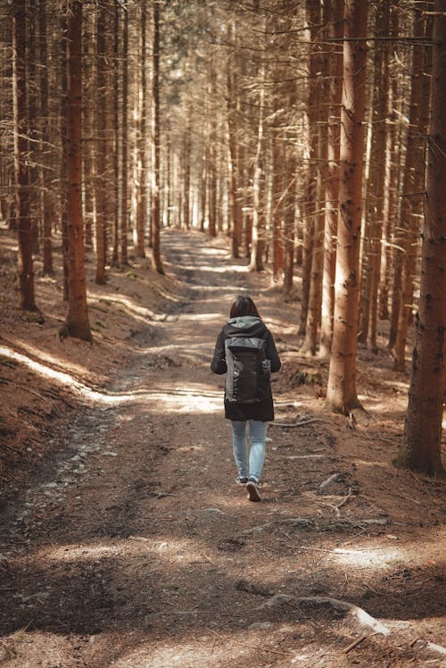 Woman Hiking in Forest