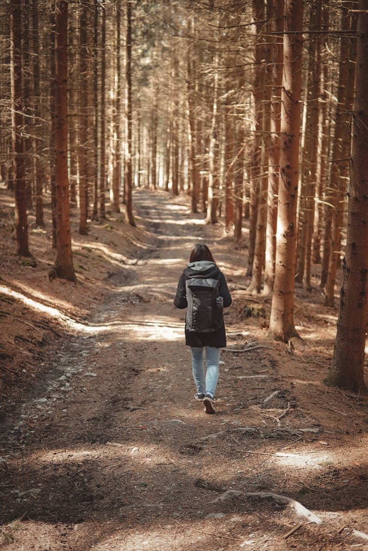 Woman Hiking In Forest