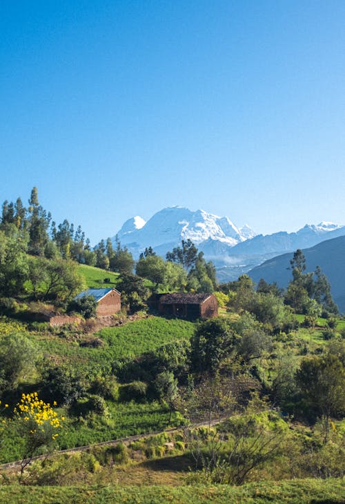 Village on Hill with Mountain behind